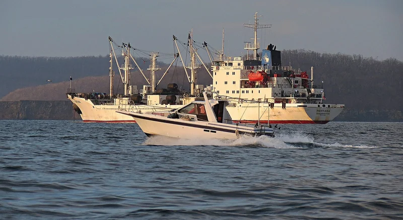 Fahrzeugflotte Scordribus Exklusiv